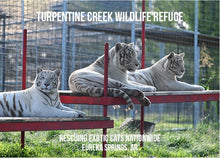 Load image into Gallery viewer, Blackfire Tiger Photo Magnet