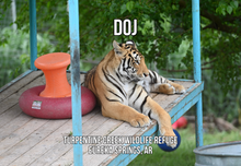 Load image into Gallery viewer, DOJ Tiger Photo Magnet