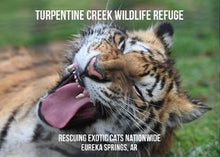 Load image into Gallery viewer, DOJ Tiger Photo Magnet