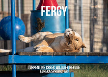 Load image into Gallery viewer, Fergy Liger Photo Magnet