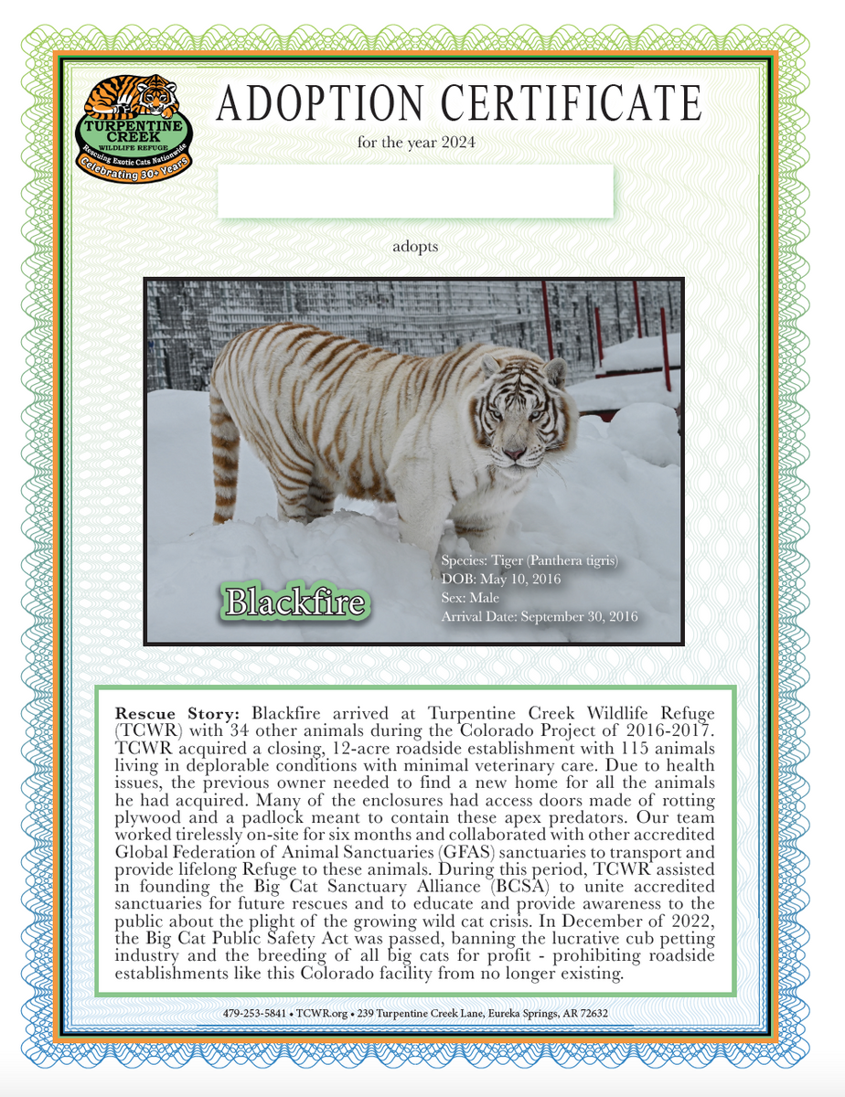 Blackfire Tiger Adoption – Turpentine Creek Wildlife Refuge