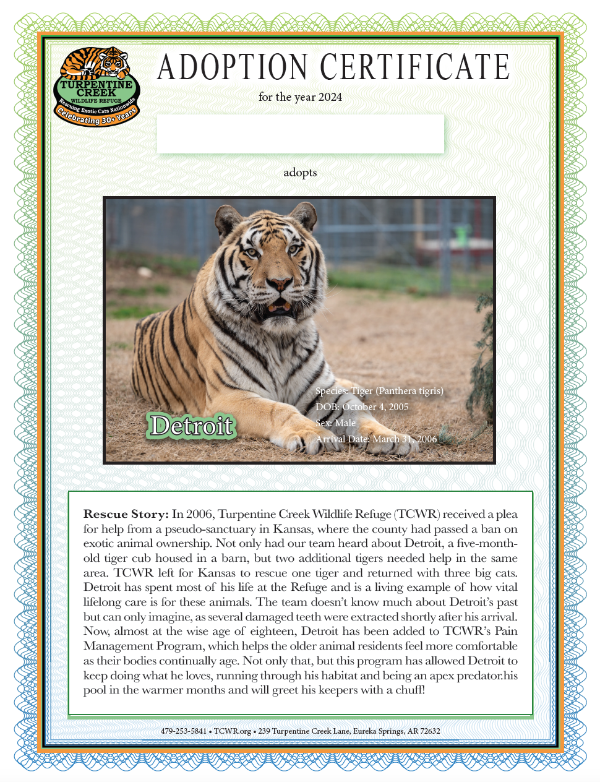 Detroit Tiger Adoption
