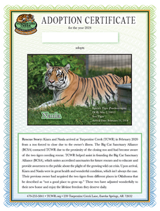 Naula Tiger Adoption