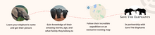 Load image into Gallery viewer, Fahlo Track an Elephant Expedition Bracelet