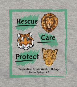 Rescue, Care Protect Pullover Hoodie Design #1