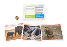 Load image into Gallery viewer, Wildlife Safari Card Game