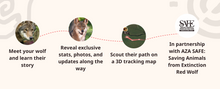 Load image into Gallery viewer, Fahlo Track a Wolf Scout Bracelet