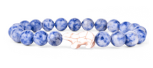 Load image into Gallery viewer, Fahlo Track a Polar Bear Venture Bracelet