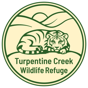 Turpentine Creek Wildlife Refuge