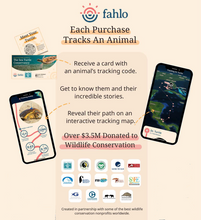Load image into Gallery viewer, Fahlo Track a Wolf Scout Bracelet