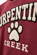 Load image into Gallery viewer, Fuzzy Letter T-Shirt