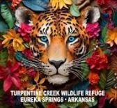 Load image into Gallery viewer, Floral Big Cat Travel Tumblers