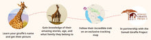 Load image into Gallery viewer, Fahlo Track a Giraffe Trek Bracelet