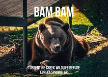 Load image into Gallery viewer, Bam Bam Bear Photo Magnet
