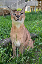 Load image into Gallery viewer, Emma Custom Journal
