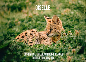 Giselle Serval Photo Magnet