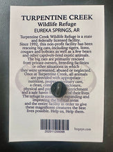 Load image into Gallery viewer, Full Color Wood Logo Pin
