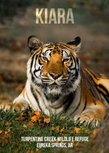 Load image into Gallery viewer, Kiara Tiger Photo Magnet
