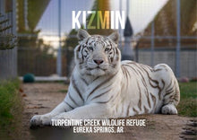 Load image into Gallery viewer, Kizmin Tiger Photo Magnet
