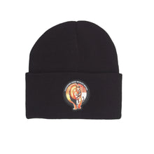 Load image into Gallery viewer, Lion and Tiger Beanie
