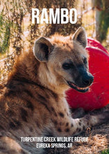 Load image into Gallery viewer, Rambo Hyena Photo Magnet
