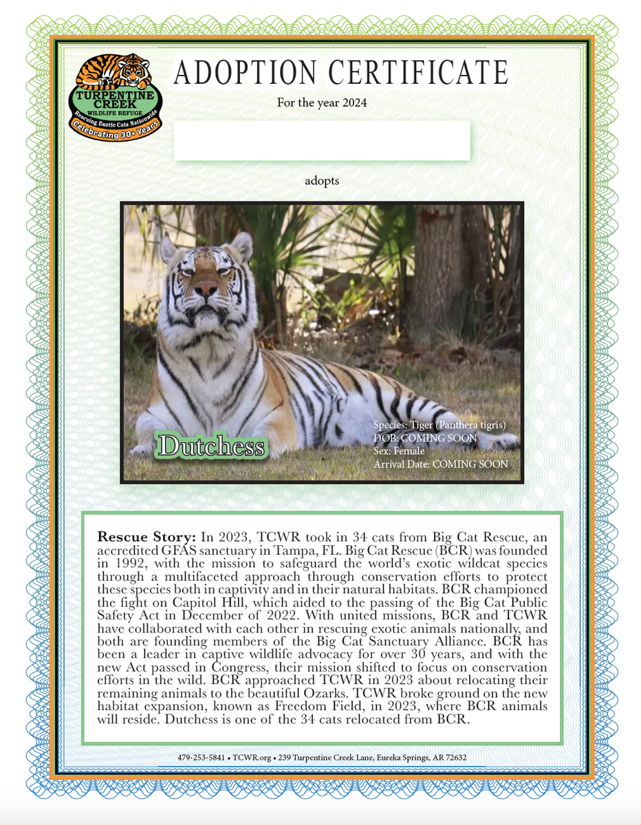 Dutchess Tiger Adoption Turpentine Creek Wildlife Refuge