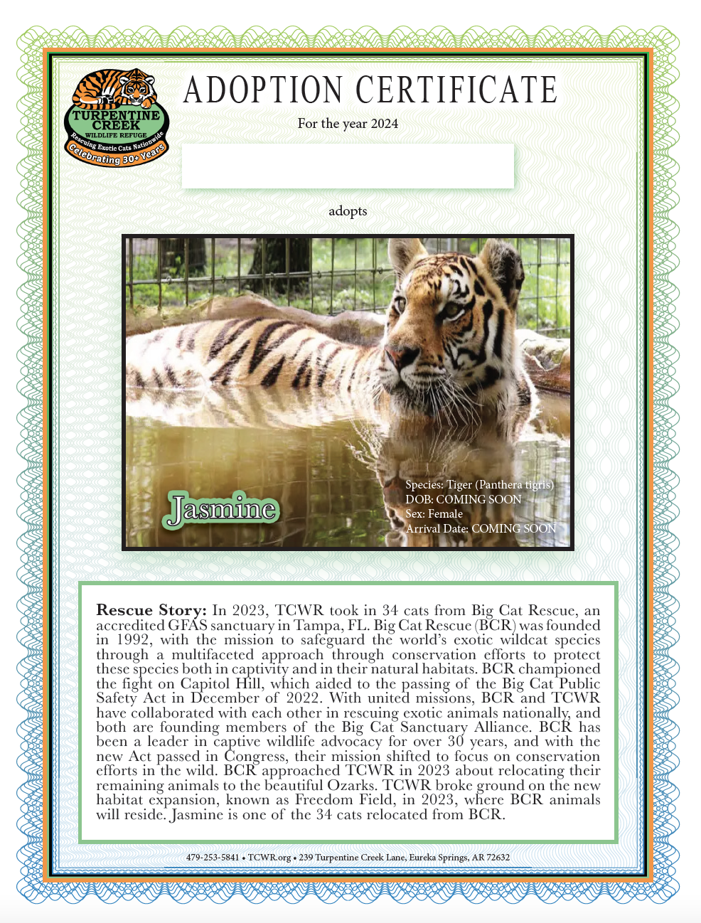 Jasmine 3 Tiger Adoption