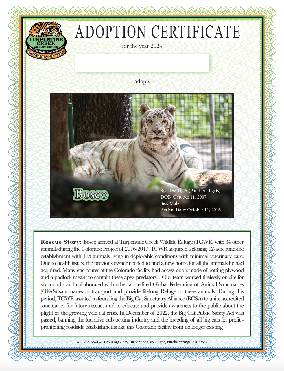 Bosco Tiger Adoption