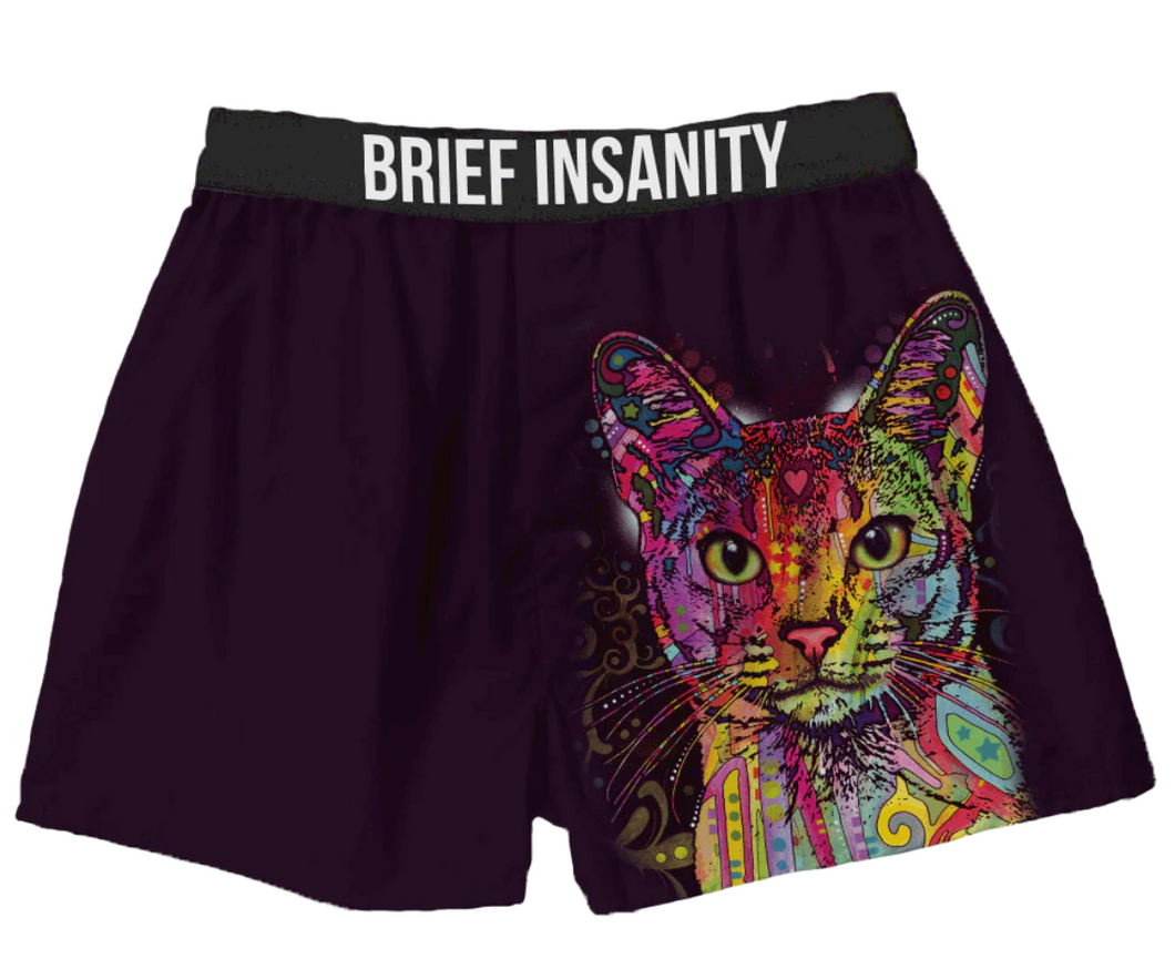 Colorful Cat Boxer Shorts