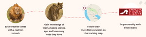 Fahlo Track a Lion Excursion Bracelet