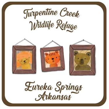 Lion, Tiger and Bear Family Magnet