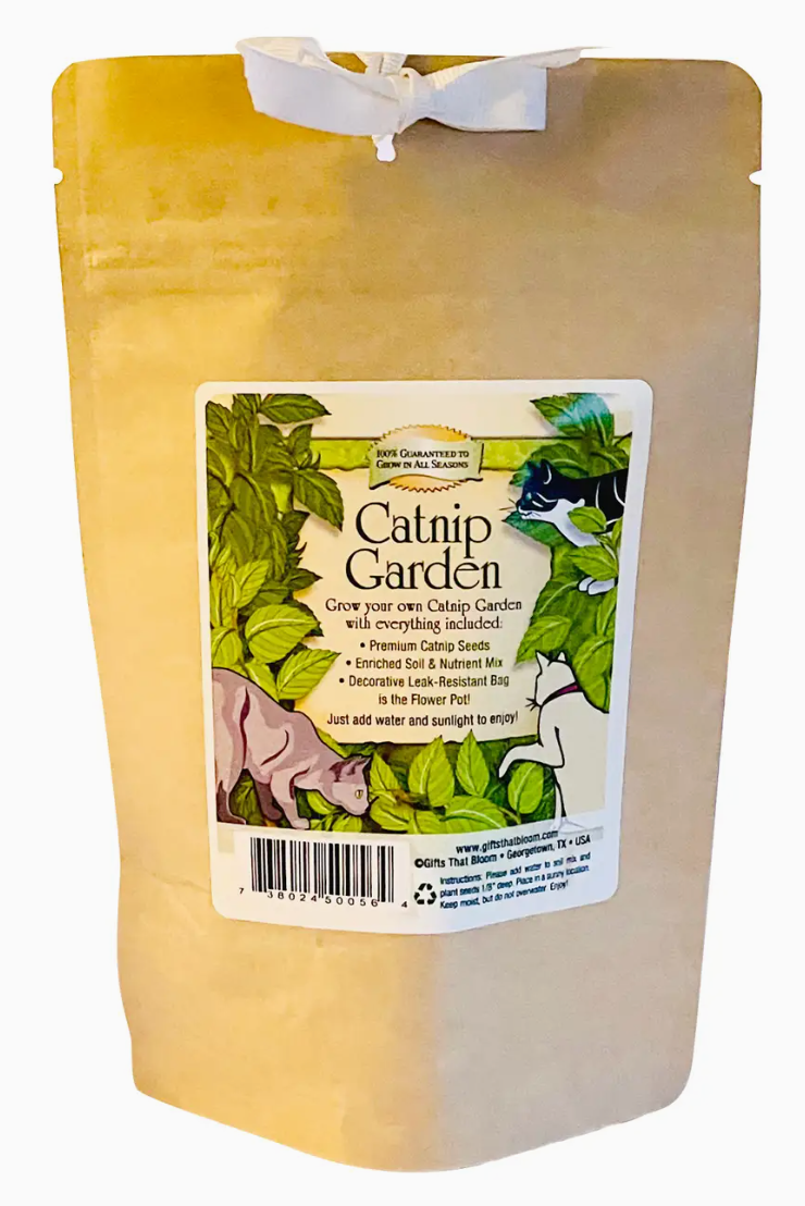 Catnip Garden in a Bag