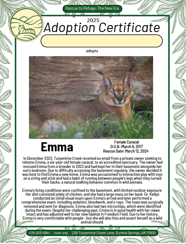 Emma Caracal Adoption