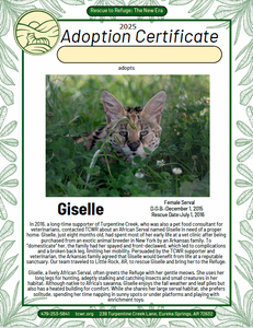 Giselle Serval Adoption