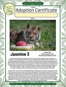 Jasmine 3 Tiger Adoption