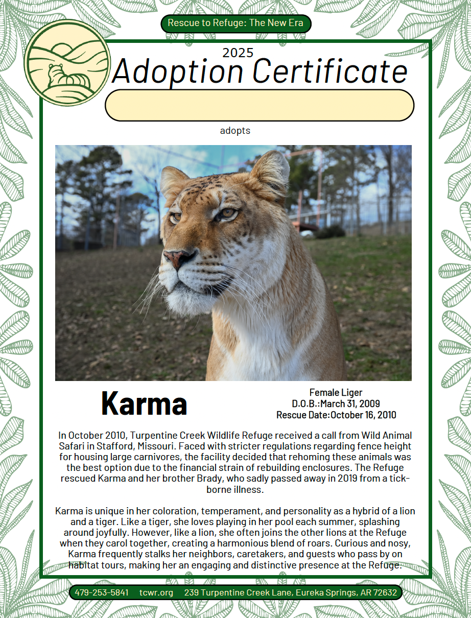 Karma Liger Adoption