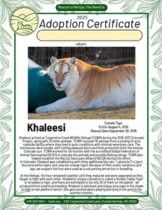 Khaleesi Tiger Adoption