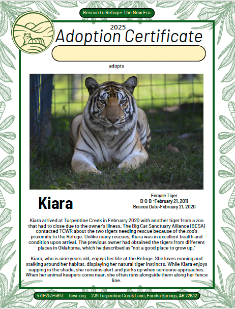 Kiara Tiger Adoption