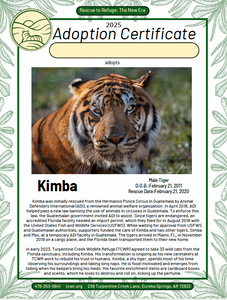 Kimba Tiger Adoption