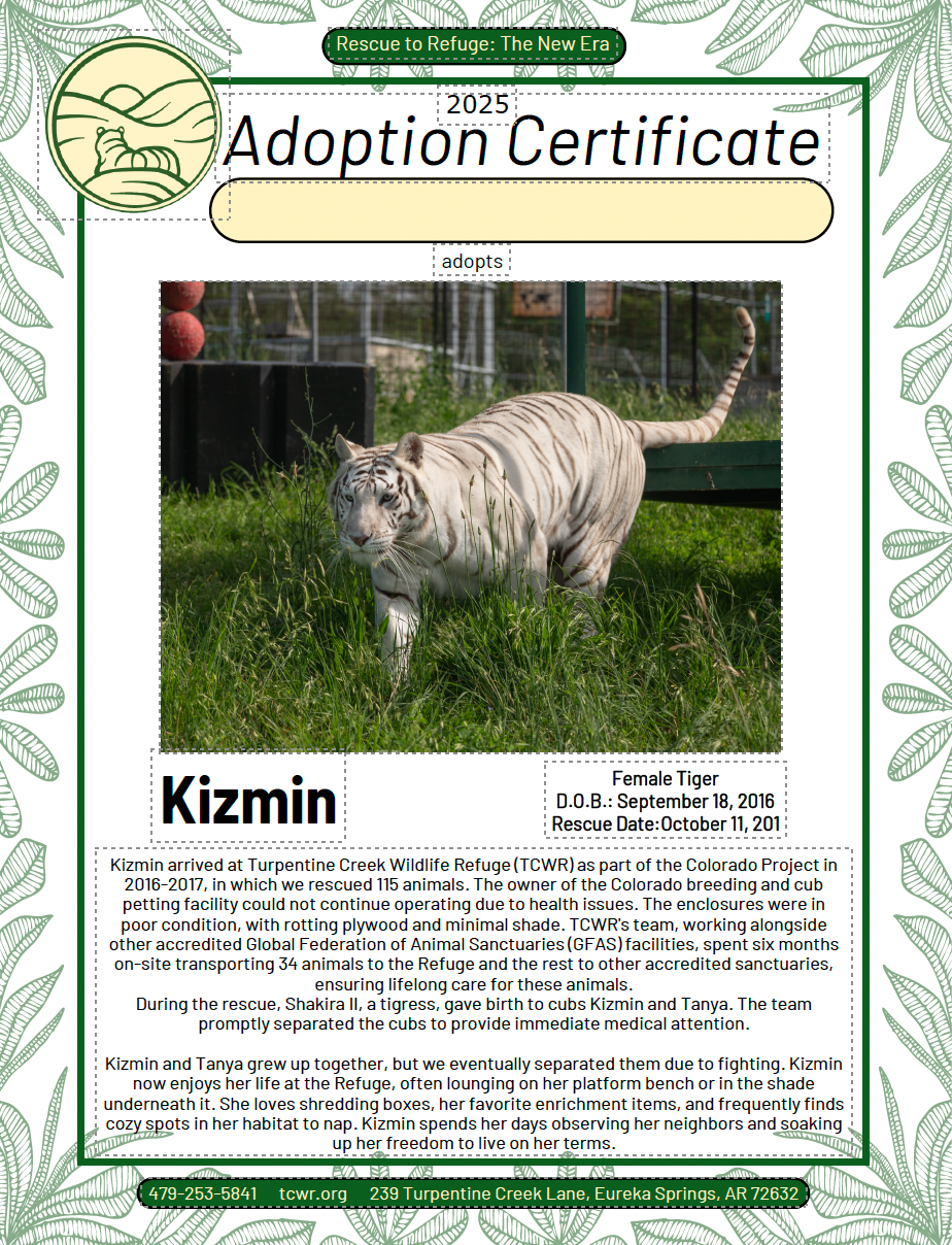 Kizmin Tiger Adoption