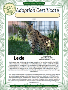 Lexie Serval Adoption