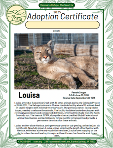 Louisa Cougar Adoption