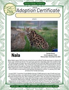 Nala Adoption