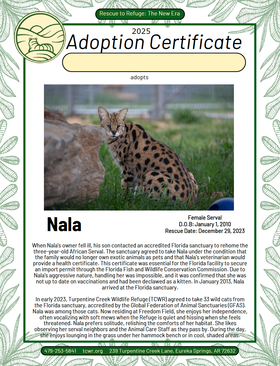 Nala Adoption