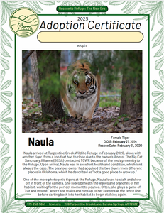 Naula Tiger Adoption