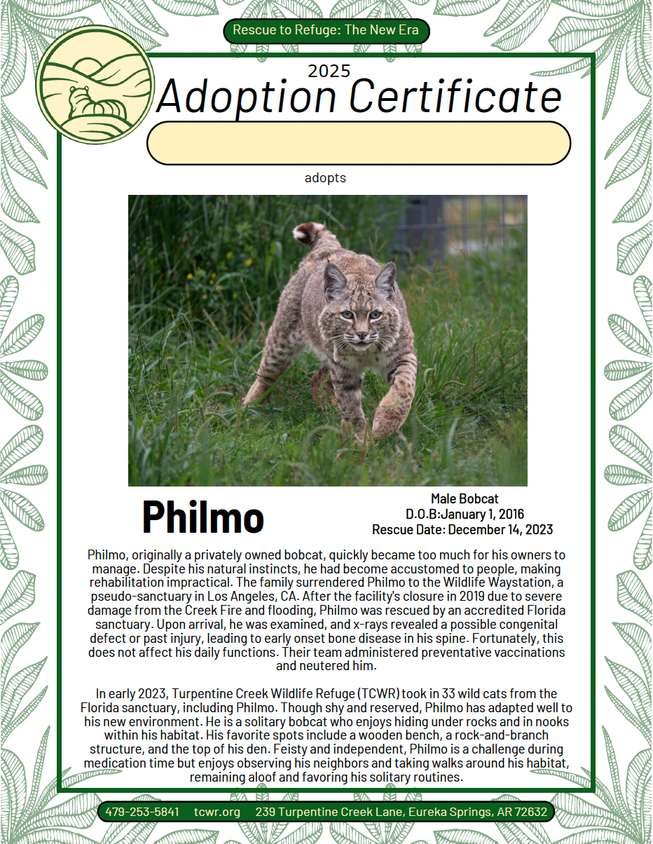 Philmo Adoption