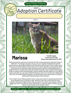 Marissa Cougar Adoption