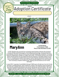 MaryAnn Adoption