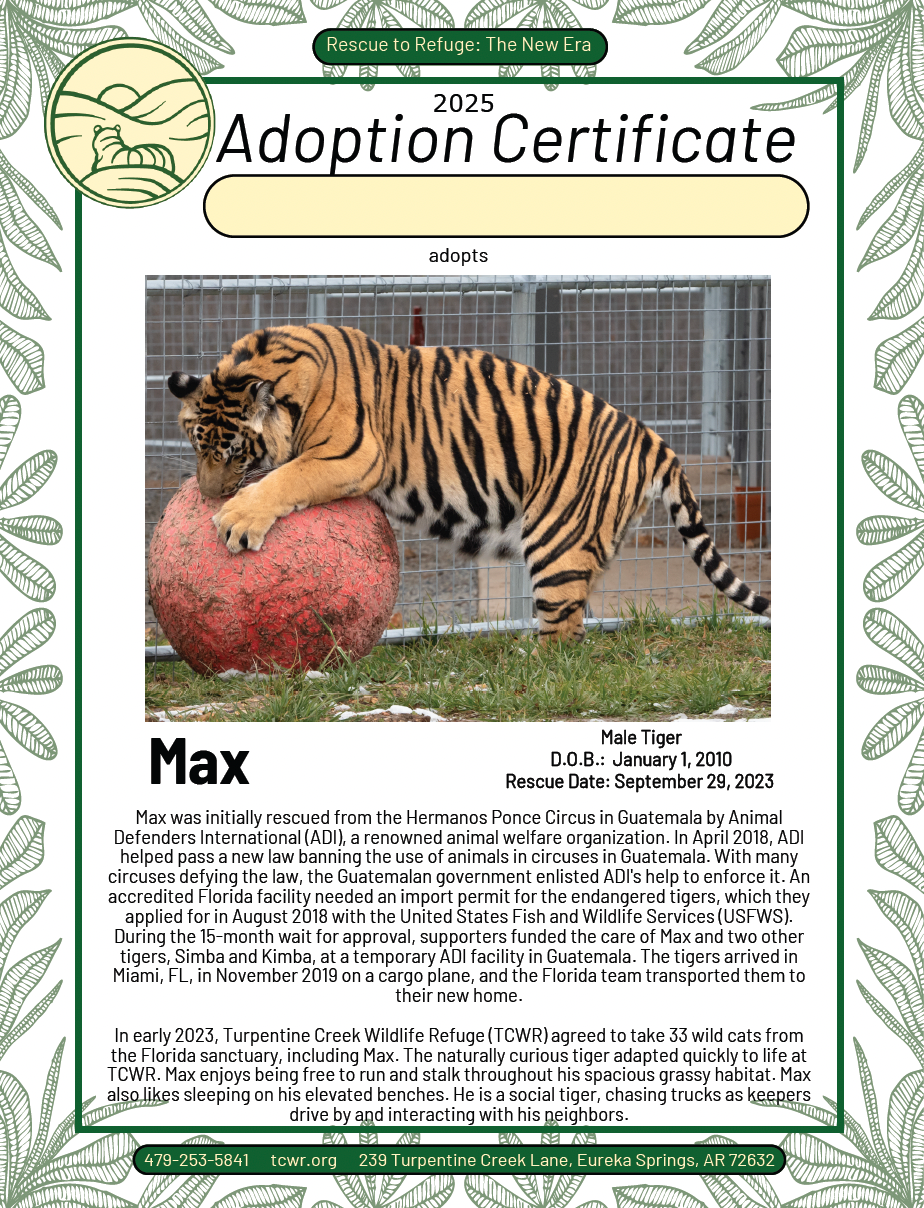 Max Tiger Adoption