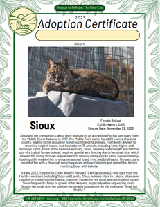 Sioux Adoption